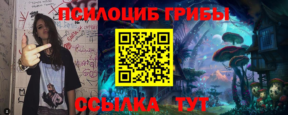 Псилоцибиновые грибы Magic Shrooms Гусиноозёрск